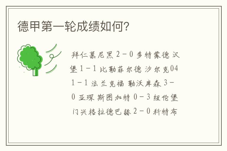 德甲第一轮成绩如何?