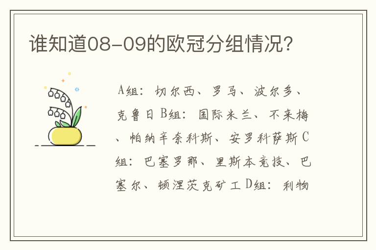 谁知道08-09的欧冠分组情况?