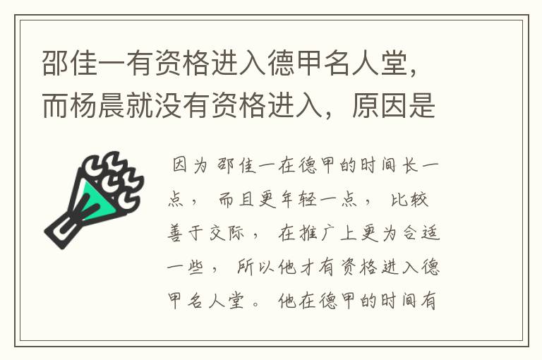 邵佳一有资格进入德甲名人堂,而杨晨就没有资格进入,原因是什么?
