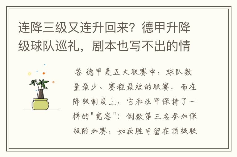 连降三级又连升回来?德甲升降级球队巡礼,剧本也写不出的情节