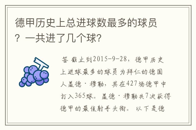 德甲历史上总进球数最多的球员?一共进了几个球?