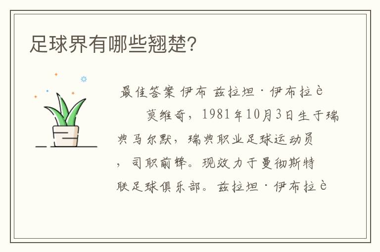 足球界有哪些翘楚?