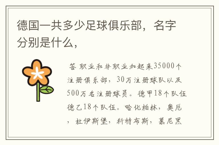 德国一共多少足球俱乐部,名字分别是什么,