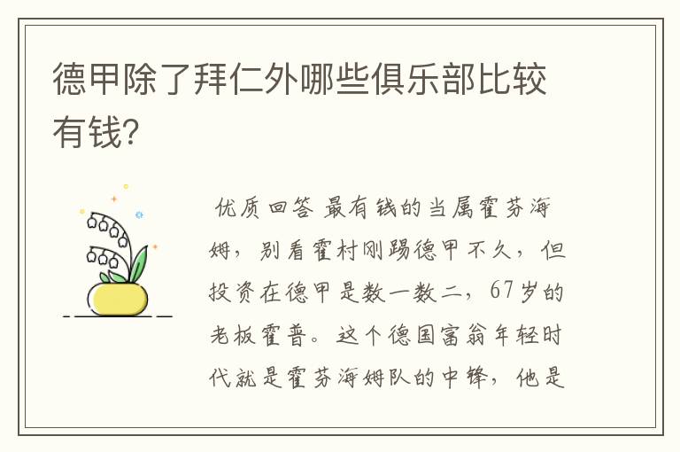 德甲除了拜仁外哪些俱乐部比较有钱?