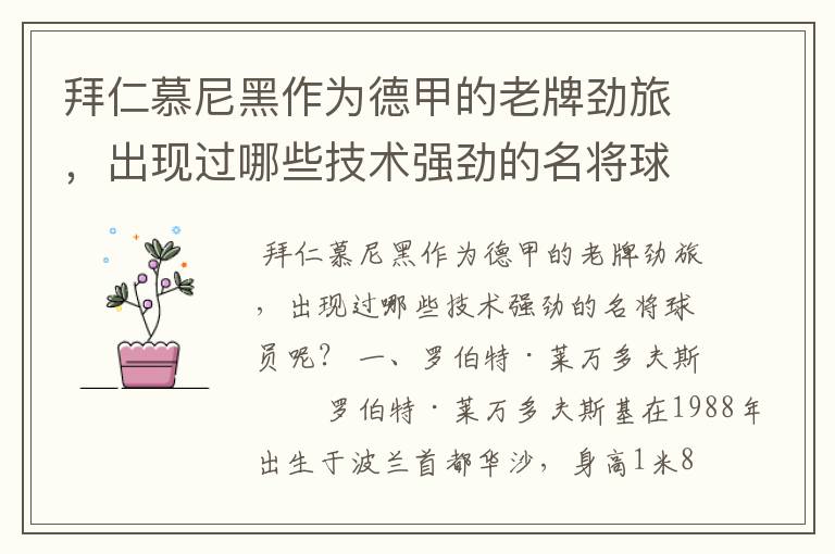 拜仁慕尼黑作为德甲的老牌劲旅,出现过哪些技术强劲的名将球员呢?