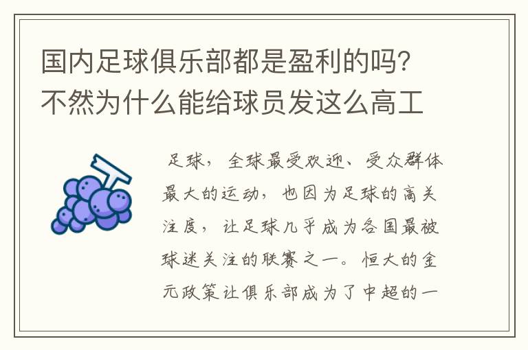 国内足球俱乐部都是盈利的吗?不然为什么能给球员发这么高工资?