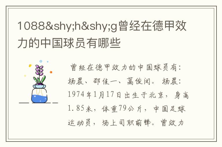 1088hg曾经在德甲效力的中国球员有哪些