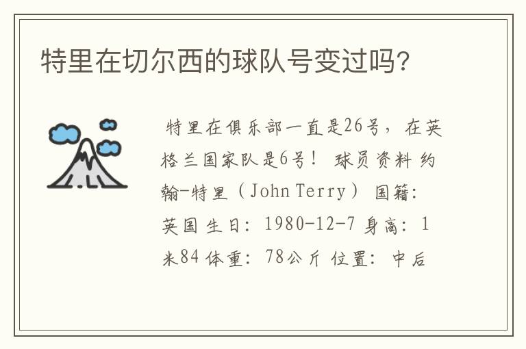 特里在切尔西的球队号变过吗?