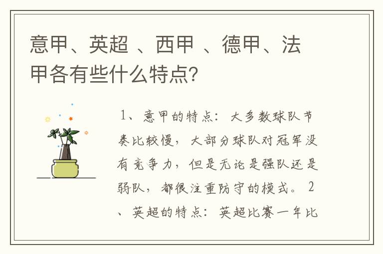 意甲、英超 、西甲 、德甲、法甲各有些什么特点?