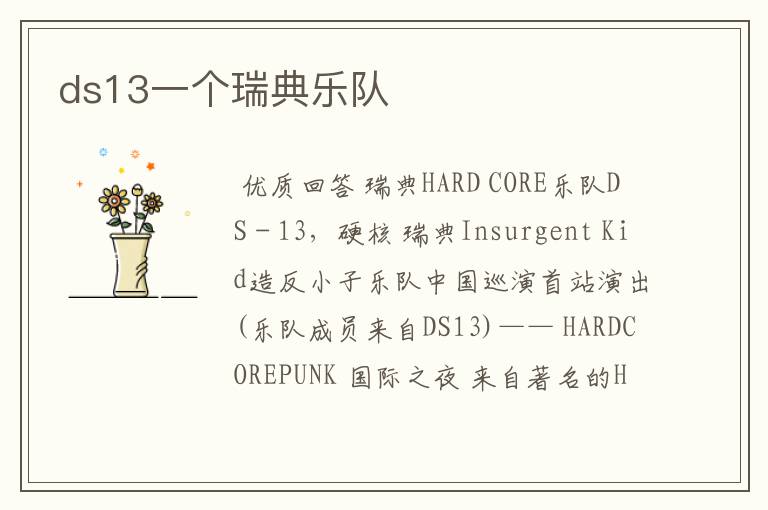 ds13一个瑞典乐队