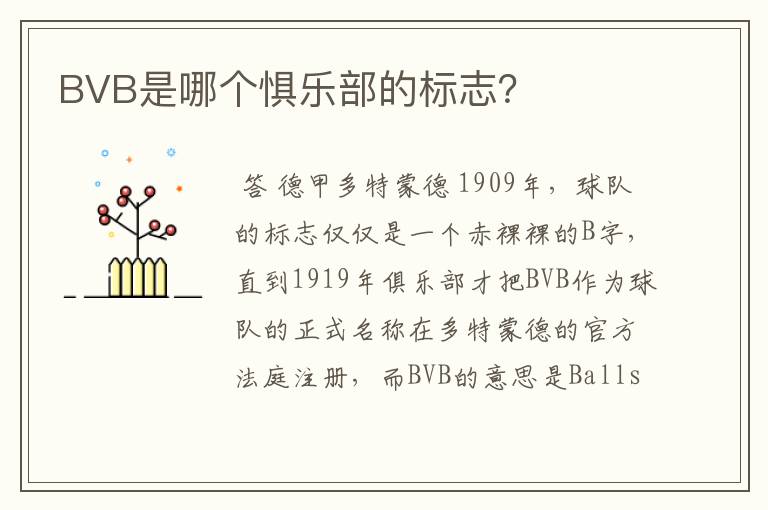 BVB是哪个惧乐部的标志?