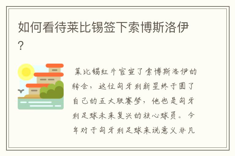 如何看待莱比锡签下索博斯洛伊?