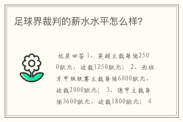 足球界裁判的薪水水平怎么样?
