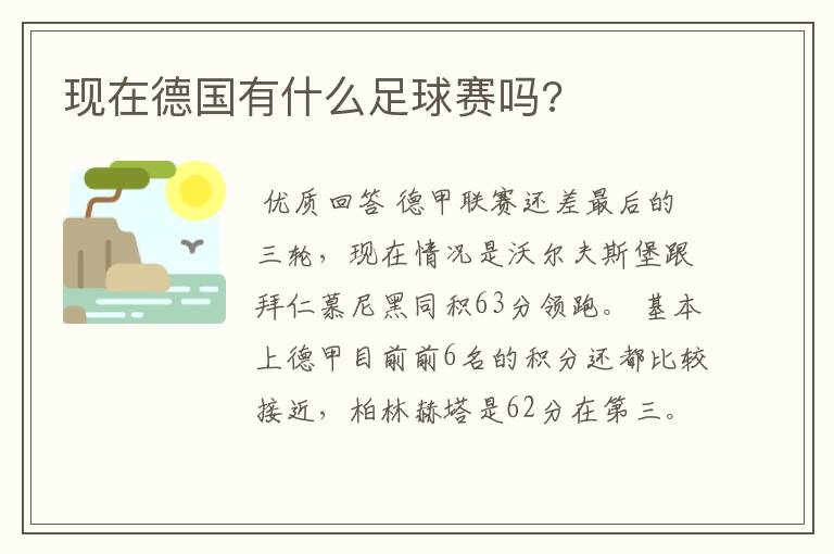 现在德国有什么足球赛吗?