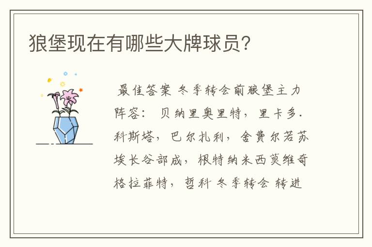 狼堡现在有哪些大牌球员？