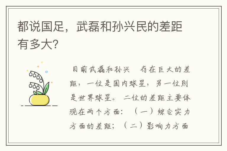 都说国足,武磊和孙兴民的差距有多大?