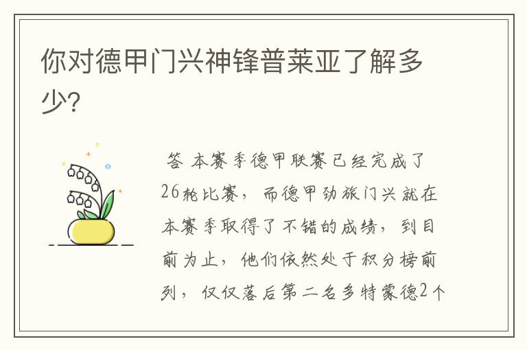 你对德甲门兴神锋普莱亚了解多少?