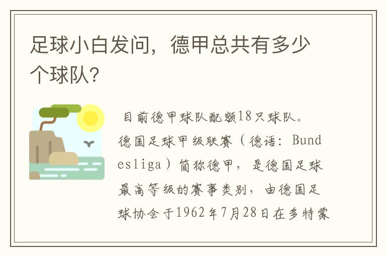 足球小白发问,德甲总共有多少个球队?