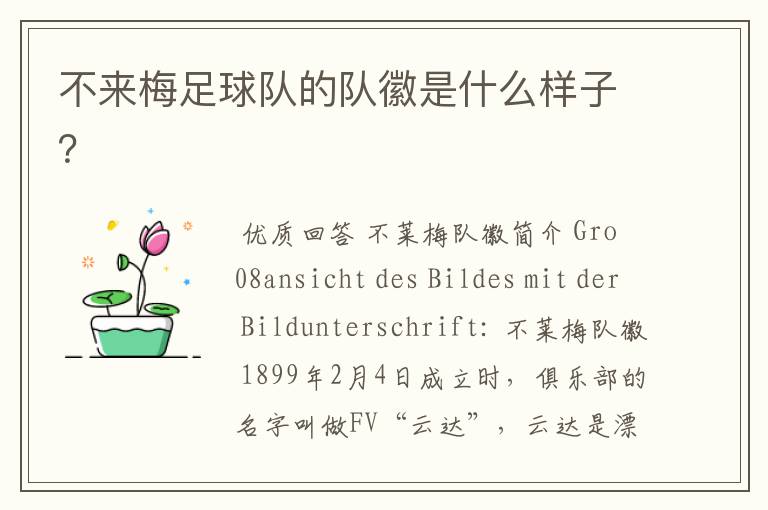不来梅足球队的队徽是什么样子?