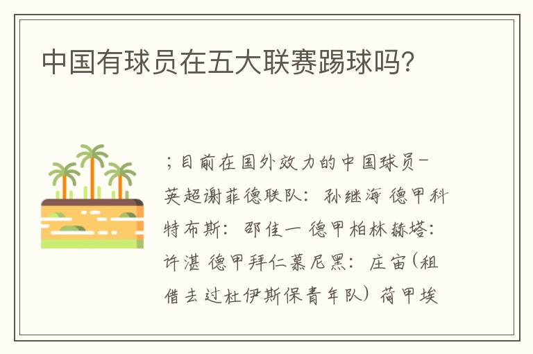 中国有球员在五大联赛踢球吗?