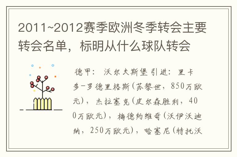 2011~2012赛季欧洲冬季转会主要转会名单,标明从什么球队转会到什么球队,多谢~