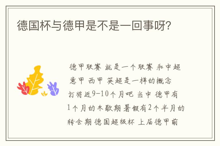 德国杯与德甲是不是一回事呀?