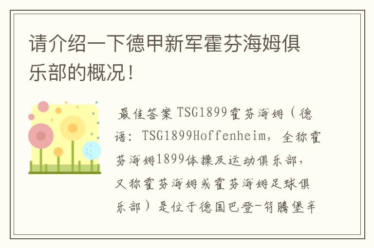 请介绍一下德甲新军霍芬海姆俱乐部的概况!