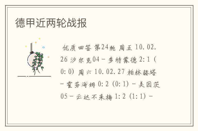 德甲近两轮战报