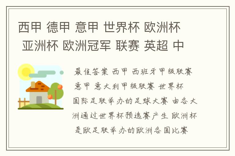 西甲 德甲 意甲 世界杯 欧洲杯 亚洲杯 欧洲冠军 联赛 英超 中超 分别是什么意思啊?