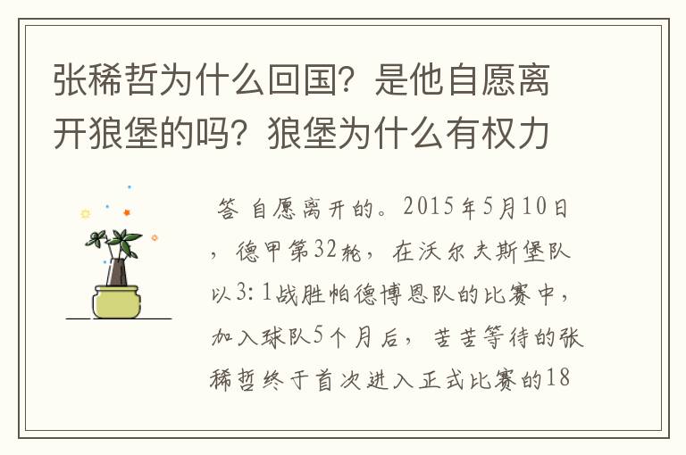 张稀哲为什么回国?是他自愿离开狼堡的吗?狼堡为什么有权力限制他不让他去德甲其他球队?