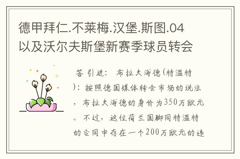 德甲拜仁.不莱梅.汉堡.斯图.04以及沃尔夫斯堡新赛季球员转会一览