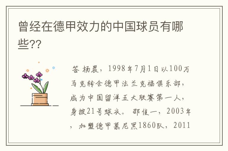 曾经在德甲效力的中国球员有哪些??