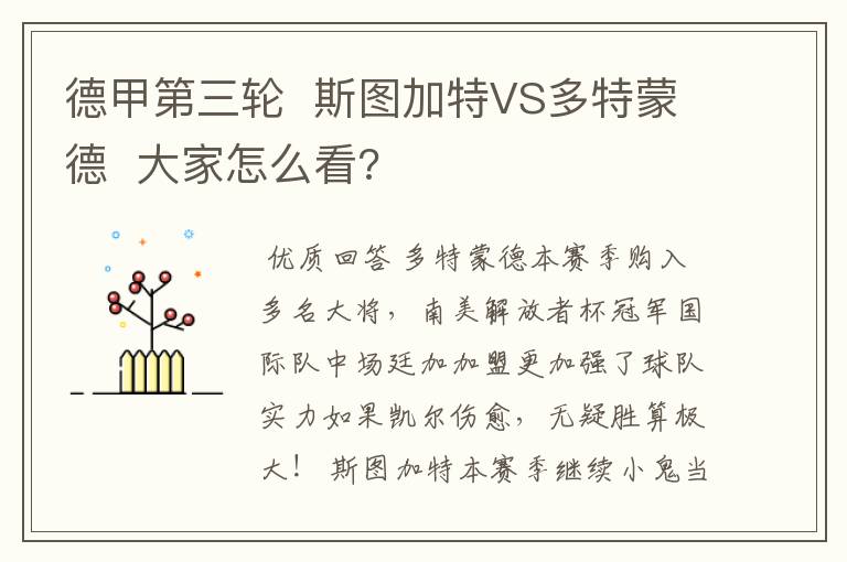 德甲第三轮 斯图加特VS多特蒙德 大家怎么看?