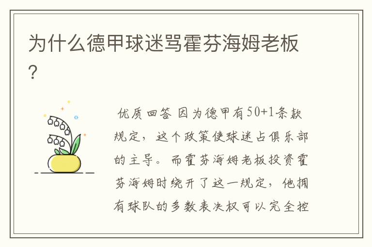 为什么德甲球迷骂霍芬海姆老板?