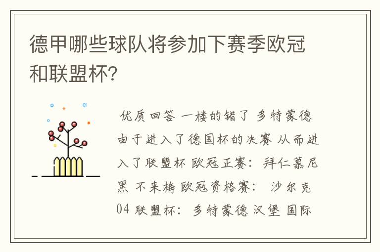 德甲哪些球队将参加下赛季欧冠和联盟杯?