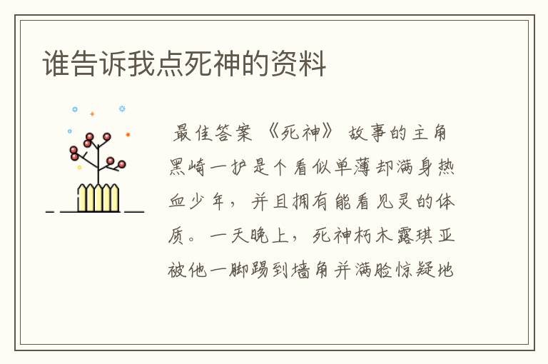 谁告诉我点死神的资料