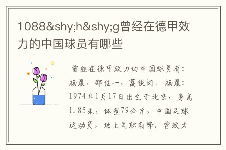 1088hg曾经在德甲效力的中国球员有哪些