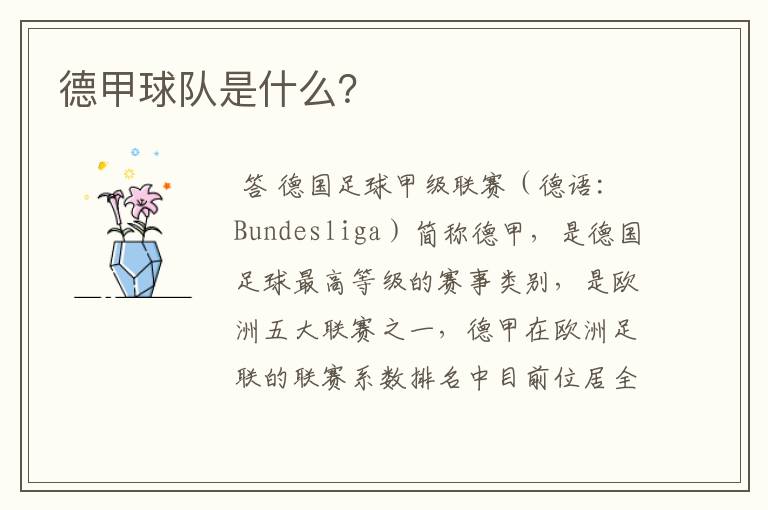 德甲球队是什么?