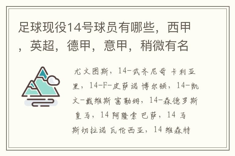 足球现役14号球员有哪些,西甲,英超,德甲,意甲,稍微有名气点的。 除了沃尔科特,埃尔南德斯,莫得里奇