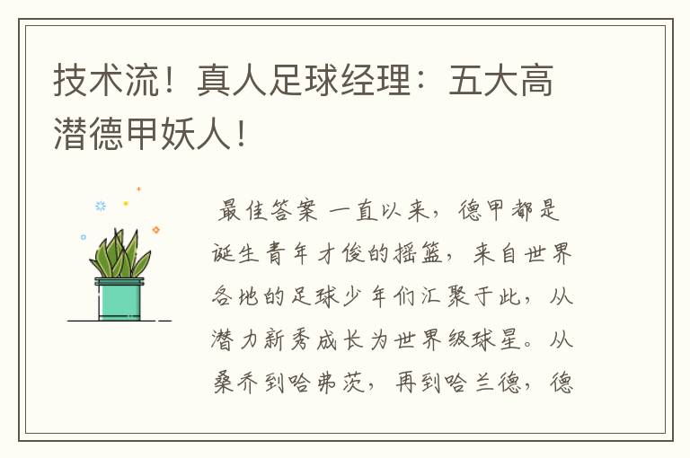 技术流!真人足球经理:五大高潜德甲妖人!