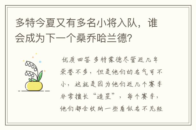 多特今夏又有多名小将入队,谁会成为下一个桑乔哈兰德?