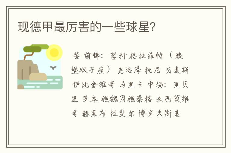 现德甲最厉害的一些球星?
