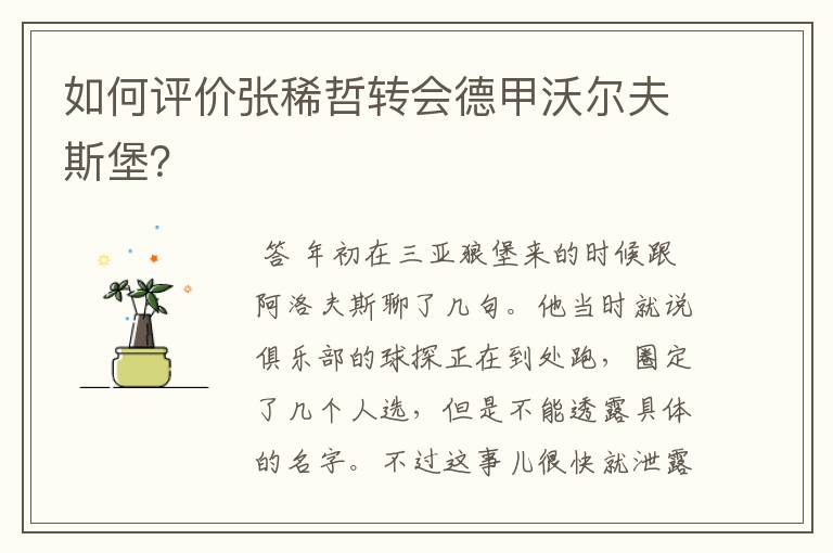如何评价张稀哲转会德甲沃尔夫斯堡?