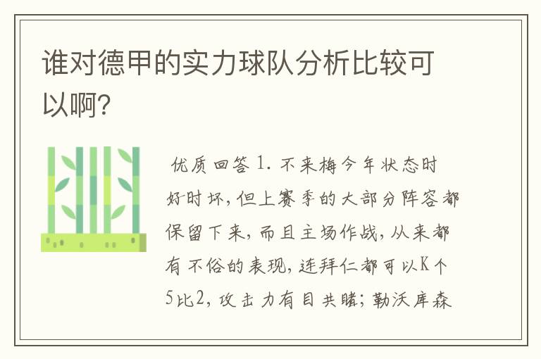 谁对德甲的实力球队分析比较可以啊?