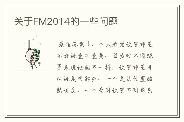 关于FM2014的一些问题