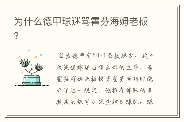 为什么德甲球迷骂霍芬海姆老板?