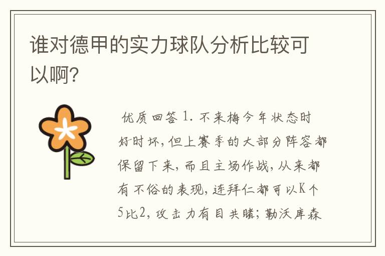 谁对德甲的实力球队分析比较可以啊?
