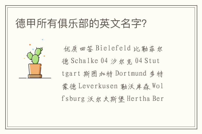 德甲所有俱乐部的英文名字?