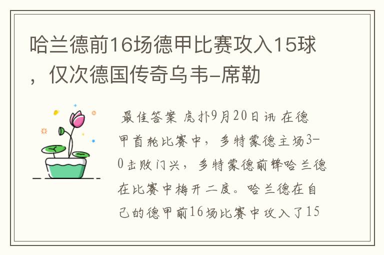 哈兰德前16场德甲比赛攻入15球,仅次德国传奇乌韦-席勒