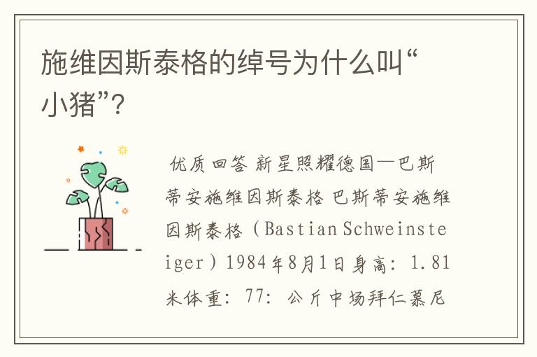 施维因斯泰格的绰号为什么叫“小猪”?